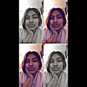 Meet your Posher, Sammy